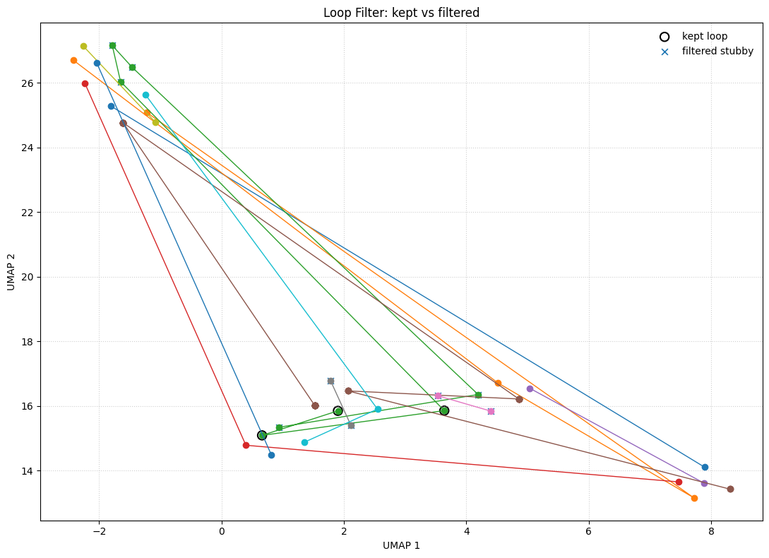 UMAP plot showing kept loops (black circles) and filtered stubs (grey Xs)
